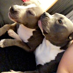 Meet your Posher, Charla